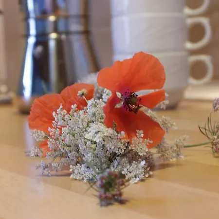 Lägenhet La Picota *