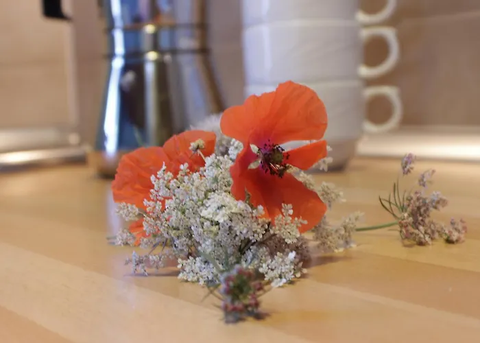 Apartment La Picota *